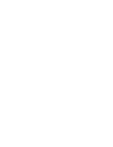 Morlan Group